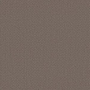 PERSPECTIVE PATH by Shaw Floors - Cappuccino