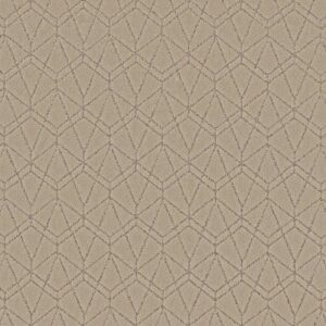POINT OF VIEW by Shaw Floors - Worn Path