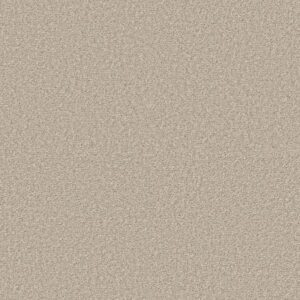ULTRA LUSH by Shaw Floors - Natural