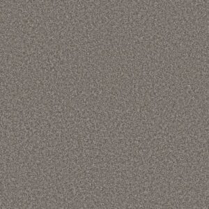 RENEWED ENERGY I by Shaw Floors - Cityscape