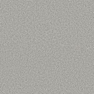 RENEWED ENERGY I by Shaw Floors - Snow Bound