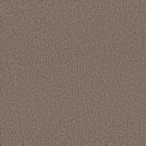 POSH LIFE by Shaw Floors - Cobblestone