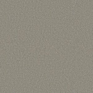POSH LIFE by Shaw Floors - Shy Sage