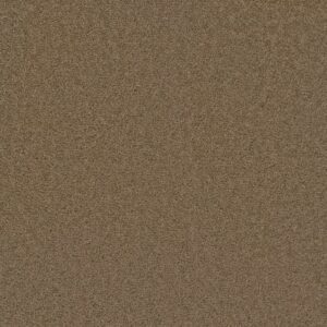 BROADCAST PLUS by Dreamweaver - Honey Beige 510