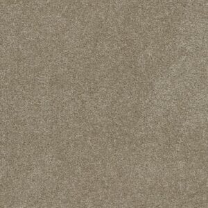 ROCK SOLID I by Dreamweaver - Buff 720