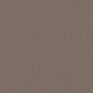 MIDLAND CHARM by Shaw Floors - Open Canyon