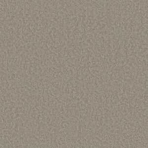 CLEVER BLEND by Shaw Floors - Chic Greige