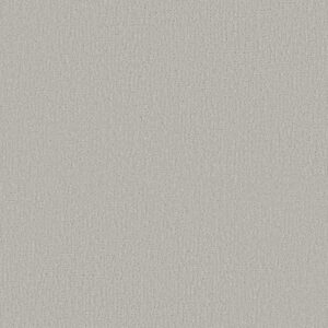 CLEVER DESIGN by Shaw Floors - Forest Fog