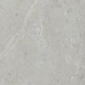 PYLON GLUE DN by Shaw Floors - Light Gry Spstn