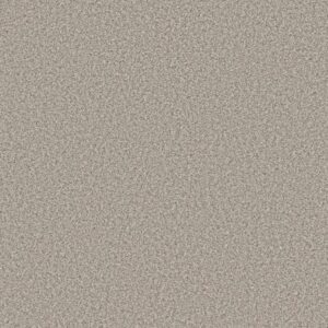 PRESCOTT VALLEY by Shaw Floors - Platinum