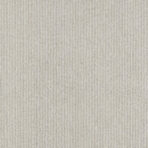 CEDAR CITY by Shaw Floors - Rock Crystal