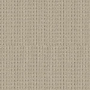 SAN ANTONIO by Shaw Floors - Fleece