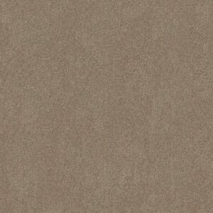 CANYON LAKE by Shaw Floors - Sheffield