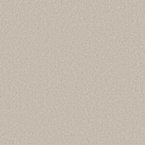 DEL RIO I by Shaw Floors - Linen