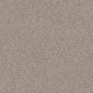 INLET SHORE 1 12' by Shaw Floors - Pale Ecru