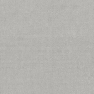 SIERRA VISTA by Shaw Floors - Classic Silver