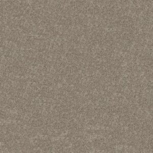 GRAND OUTLOOK by Shaw Floors - Cameo