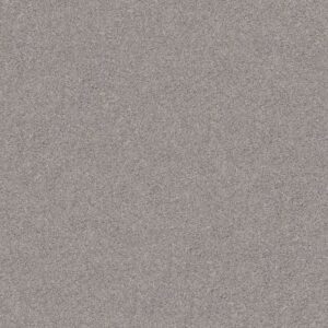 INLET SHORE II 12' by Shaw Floors - Brushed Nickel