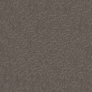 ELEVATED III by Shaw Floors - Flint