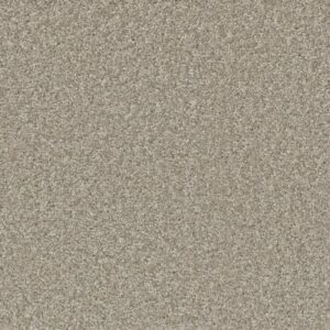 SP251 by Dreamweaver - Clam Shell 182