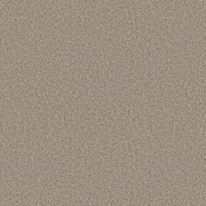 ELEVATED I by Shaw Floors - Nutria