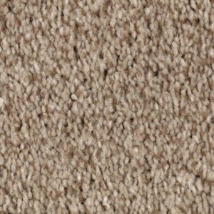 Tonal Chic II by Mohawk - Saddle Brown