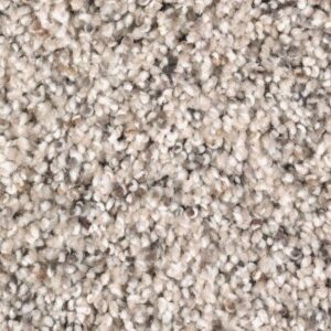 Soft Sensations I by Mohawk - Bungalow Beige