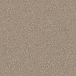 AFFIRMATION II NET by Shaw Floors - Basketry