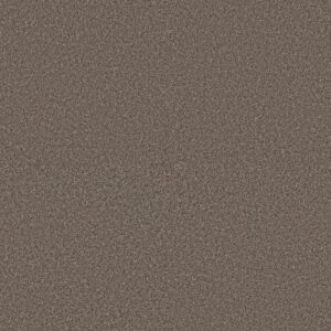 AFFIRMATION II NET by Shaw Floors - Havana