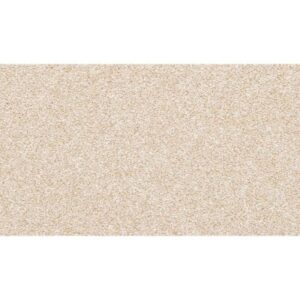 Dynamic Quality II by Mohawk - Sheepskin