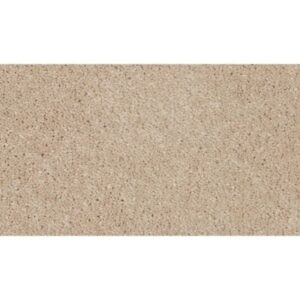Tender Moment II by Mohawk - Champagne Beige