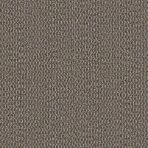 STONEBROOK by Shaw Floors - Outer Banks