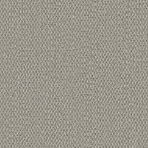 STONEBROOK by Shaw Floors - Wool Mix