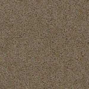SWEEPSTAKES by Dreamweaver - Taupe 565