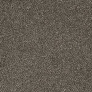 MONTE CARLO II by Dreamweaver - Rugby 6112