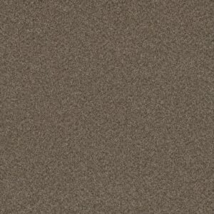 BLAZER II by Dreamweaver - Fawn 6005