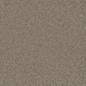 NO LIMITS II by Dreamweaver - Meadowlark 5091