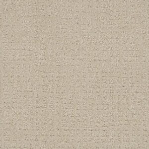 COMMON GROUND by Dreamweaver - Champagne Fizz 6309