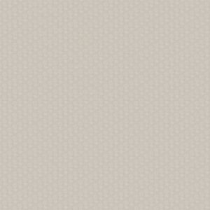 Primstone by American Olean - Buff