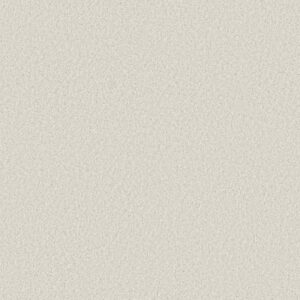 TONAL COMFORT II by Shaw Floors - Clean Linen