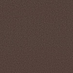 TONAL COMFORT II by Shaw Floors - Winery