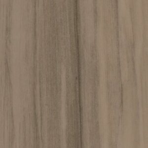 REWILD by Philadelphia Commercial - Grounded