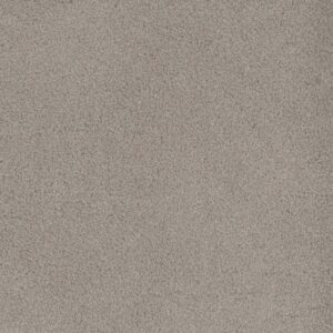BEACH CLUB III by Dreamweaver - Ivory Glow 2957