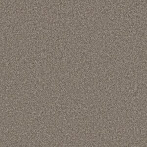 REMIXED CLASSIC by Shaw Floors - Nutria