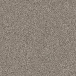 RENEWED ENERGY II by Shaw Floors - Prairie Run