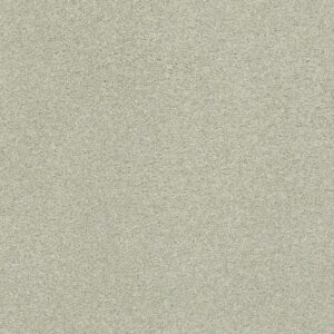 YOUR COMFORT II by Shaw Floors - Willow Tree