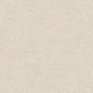 YOUR COMFORT I by Shaw Floors - Homemade Ice Cream