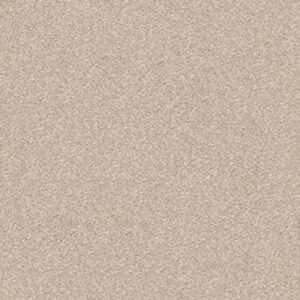 YOUR COMFORT I by Shaw Floors - My Haven