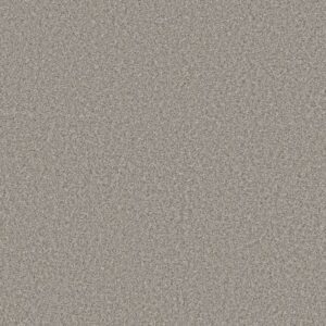 BEST YET by Shaw Floors - Sterling