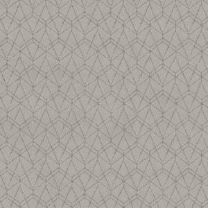 POINT OF VIEW by Shaw Floors - Gravity